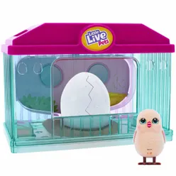 Little Live Pets Surprise Chick Hatching House Playset