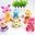 Cute Animal Clockwork Toys Tortoise Deer Mouse Duck Wind up Toys for Baby 1-3 Years Old
