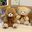 35/50/60CM 5 Colors Lovely Bow-Knot Teddy Bear Doll Stuffed Animal Bear Plush Toys Lovers Girls Birthday Baby Gift