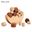 Baby Balance Training Moon Building Blocks Wooden Interactive Puzzle Game Toy Preschool Educational Learning Toys for Children