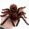 Remote Control Simulation Black Widow Tarantula Crawling Insect Animal Model Spoof Children Horror Tricky Pet Toy Halloween Gift
