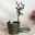 Retro wrought iron crane deer head faucet miniature living room decoration bar photography decoration home decoration