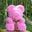 Tronzo 40cm Rose Teddy Bear Soap Foam Flower Dolls Artificial Animal Bear Rose Toys Valentines Day Gift for Girls