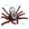 Toy remote control spider infrared shape realistic Scary funny toy children's Halloween Birthday Xmas gift Cool Animal Toy