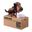 Piggy Bank Dog Super Fun Cartoon Money-boxes Automatic Stole Coin Saving Banks Money Saving Box Toys Gifts for kid Boys girls