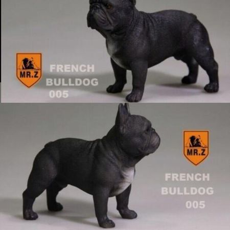 MR.Z White 1/6 Scale French Bulldog Simulation Dog Puppy Pet Animal Toy Resin 