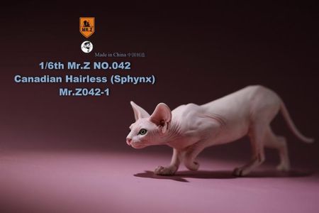1/6 Scale MR.Z MRZ042 ​​Scene Props, Canadian Sphynx Hairless Resin Anime Figure Model  For 12 Inch Action Figure