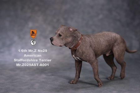 1/6 Mr. Z Real Animal Collectible Figure Scene Props NO. 29 American Staffordshire Terrier posture exchanged head