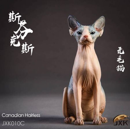 1/6  Jxk010 Canadian Hairless Cat Statue Animal Resin Model for Collection