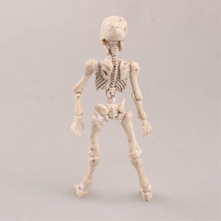 Tronzo 3Pcs/Set Mr. Bones Movable Action Figure Toys Kawaii Mini Skeleton Human Dog PVC Model Figure Set Decoration Skull Toys