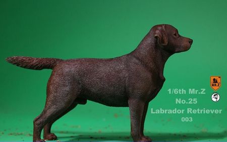 1/6 MRZ025 Labrador Retriever Dog Model Toys for 1/6 Action Figure
