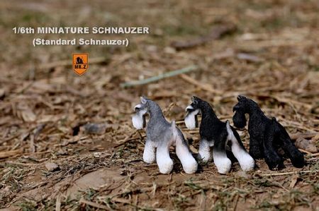 1/6 Mr.Z MRZ019 Miniature Schnauzer Scenes Accessory Dog  fit 12