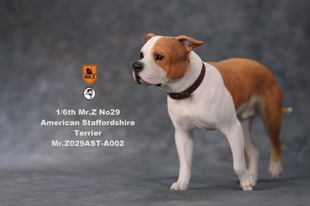 1/6 Mr. Z Real Animal Collectible Figure Scene Props NO. 29 American Staffordshire Terrier posture exchanged head