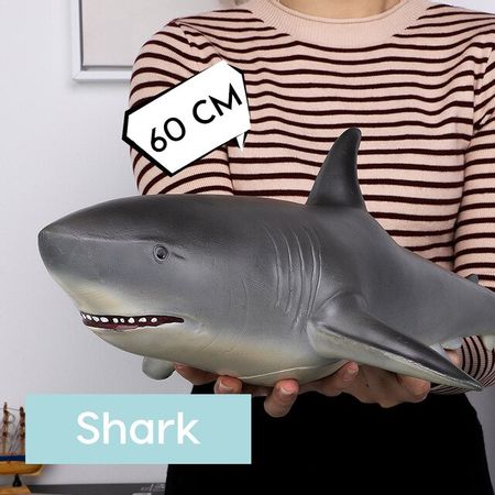 1663 Shark