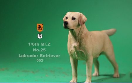 1/6 MRZ025 Labrador Retriever Dog Model Toys for 1/6 Action Figure
