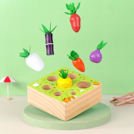 Wooden Toys Carrot Shape Matching Size Cognition Montessori Educational Toy Baby Montessori Toy Set Pulling  Wooden Toys baby