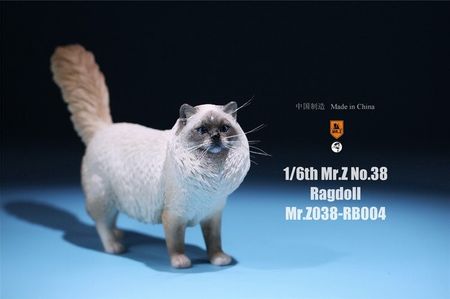 1/6 MRZ038 Ragdoll Simulation Animal Statue Pet Cat Model Scene Accessories for 12'' Action Figure