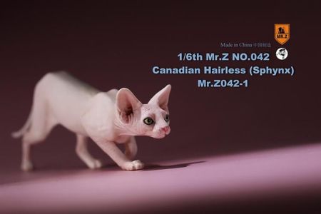 1/6 Scale MR.Z MRZ042 ​​Scene Props, Canadian Sphynx Hairless Resin Anime Figure Model  For 12 Inch Action Figure