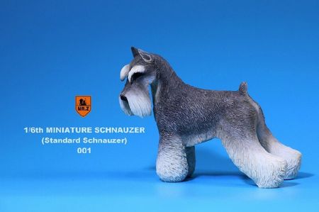 1/6 Mr.Z MRZ019 Miniature Schnauzer Scenes Accessory Dog  fit 12