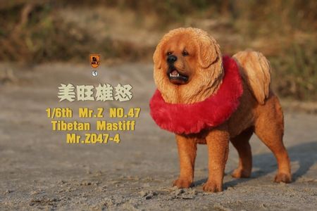 1/6 MRZ047 Simulated Tibetan Mastiff animal model for 12-inch Collectibles Decoration Gift