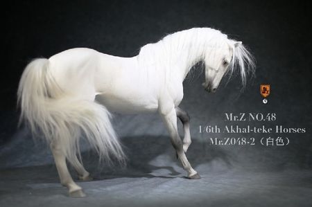 Mr.Z 1:6 MRZ048 Akhal-Teke Horses Resin Animal Statue Toys