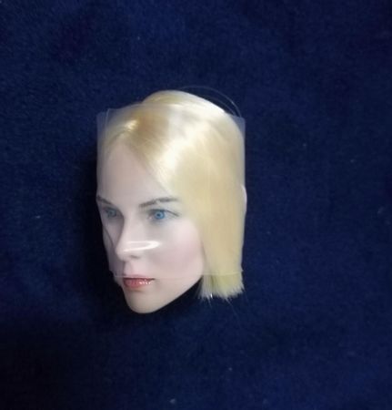 1/6 Female Head The X Files Dana Scully Female Head for 12'' Pale Figure Body Doll